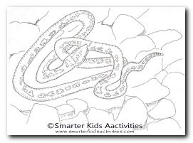 Year of the Snake Colouring Pages-01