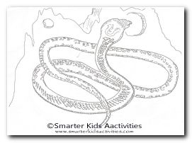 Year of the Snake Colouring Pages-02