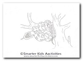 Year of the Snake Colouring Pages-03