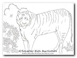 Year of the Tiger Colouring Pages-01