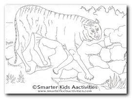 Year of the Tiger Colouring Pages-02