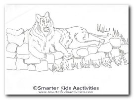 Year of the Tiger Colouring Pages-03